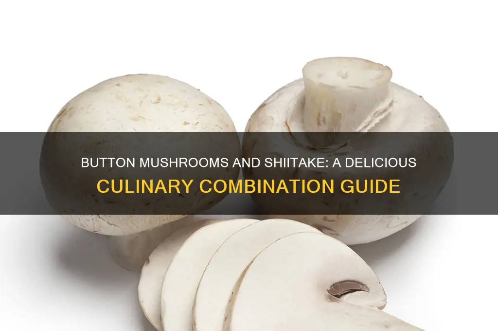can you cook button mushrooms with shitake