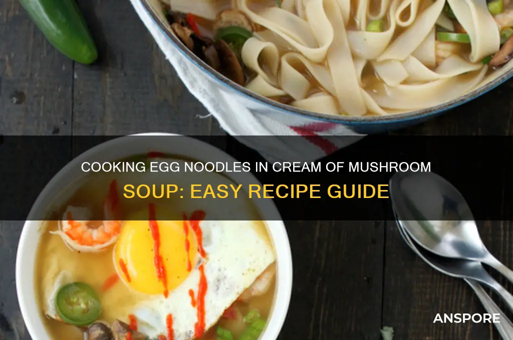 can you cook egg noodles in cream of mushroom soup