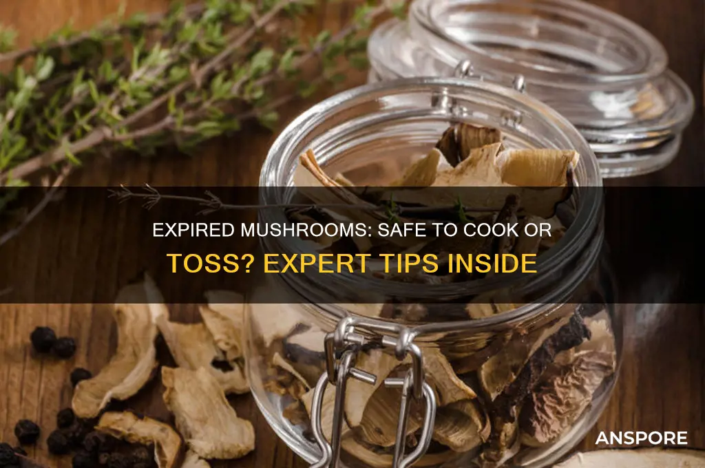 can you cook expired mushrooms