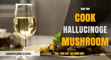 Exploring the Risks of Cooking Hallucinogenic Mushrooms: What You Need to Know