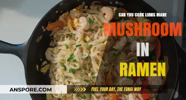 Lion's Mane Mushrooms in Ramen: A Delicious Umami Upgrade