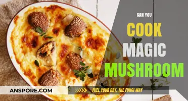 Cooking Magic Mushrooms: Safe Practices, Legal Risks, and Culinary Tips