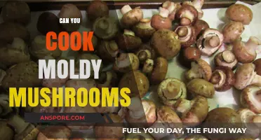 Cooking Moldy Mushrooms: Safe or Serious Health Risk?