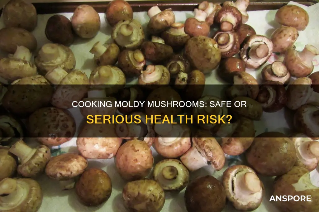 can you cook moldy mushrooms
