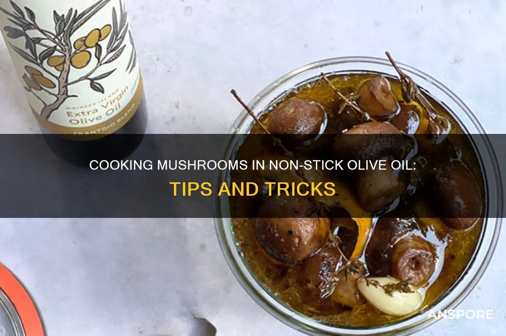can you cook mushrooms 8n non stock olive oil