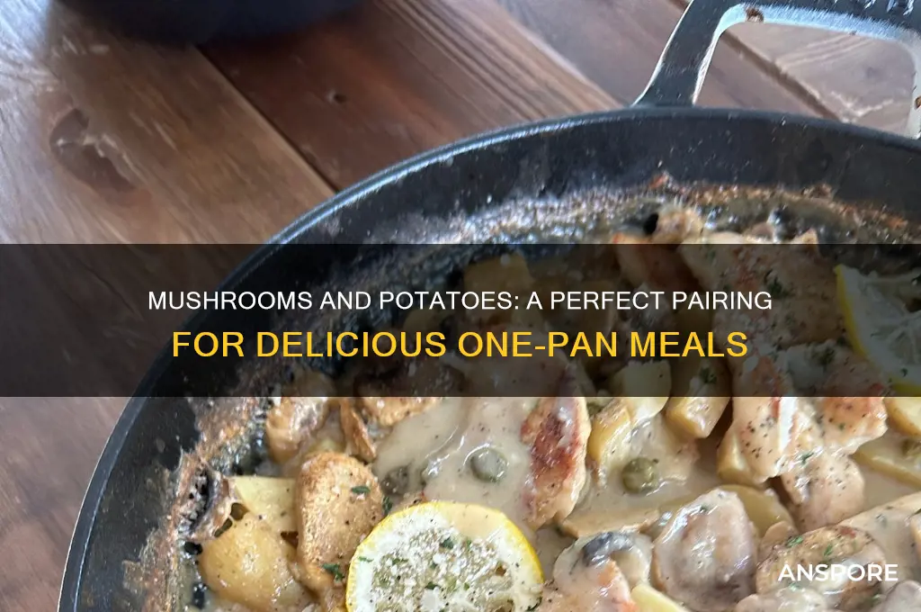 can you cook mushrooms and potatoes together