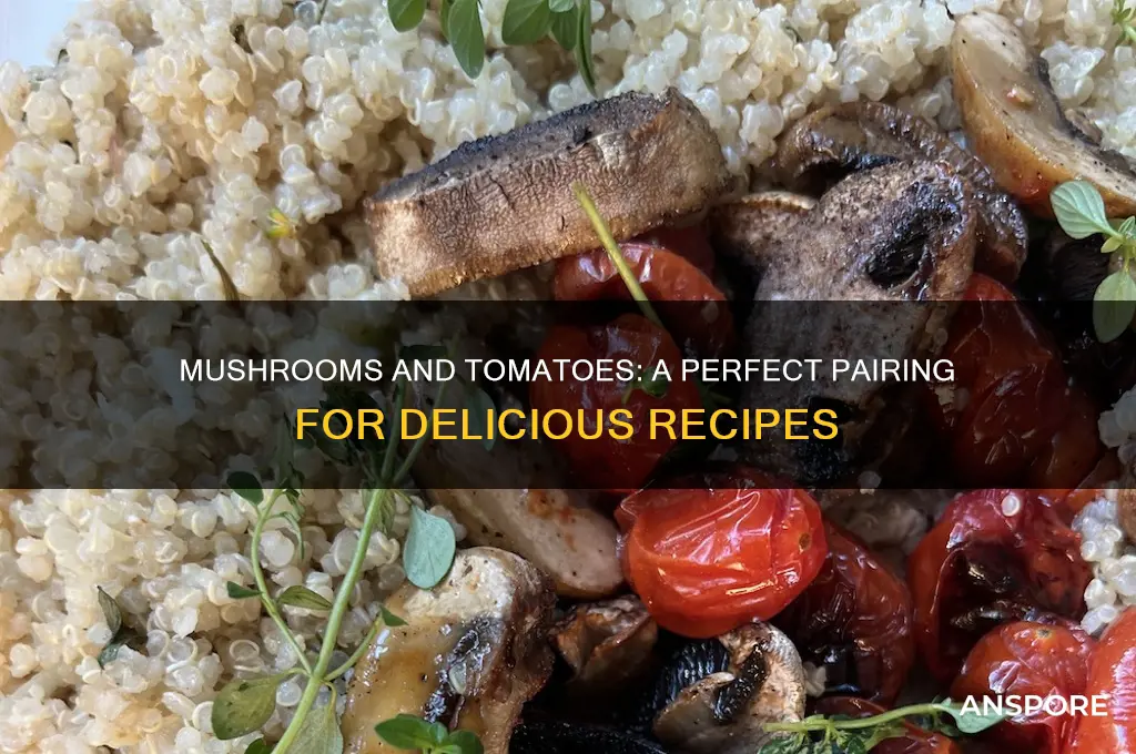 can you cook mushrooms and tomatoes together