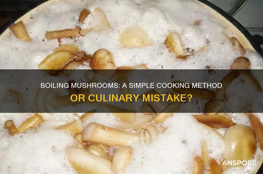 can you cook mushrooms by boiling them