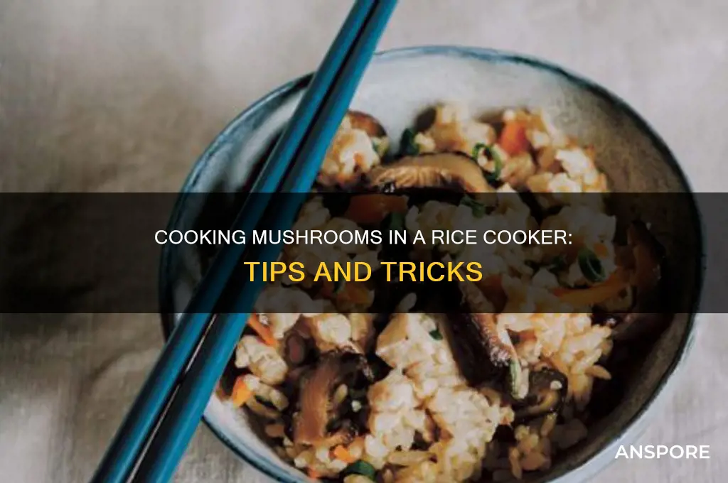 can you cook mushrooms in a rice cooker