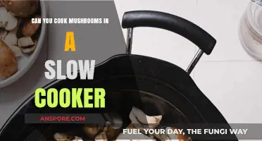 Slow Cooker Mushroom Magic: Tips for Perfectly Cooked Fungi