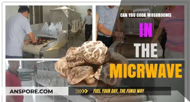 Microwave Mushroom Magic: Quick, Easy, and Delicious Cooking Tips