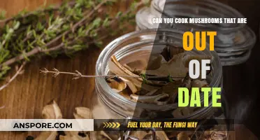 Are Expired Mushrooms Safe to Cook? Tips and Risks