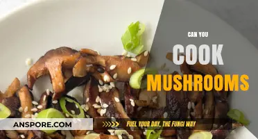 Mastering Mushroom Cooking: Tips, Techniques, and Delicious Recipes to Try