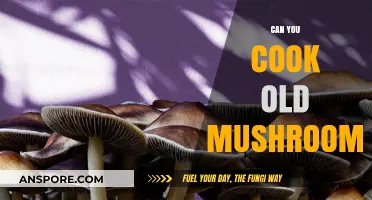 Reviving Old Mushrooms: Safe Cooking Tips and Tasty Recipes