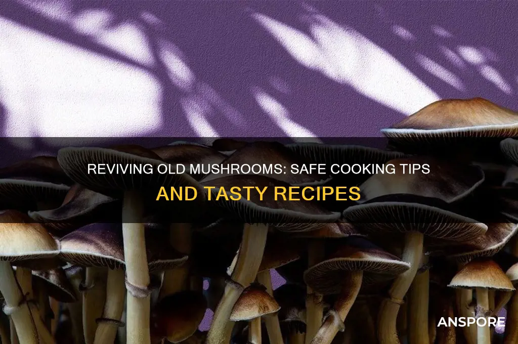 can you cook old mushrooms