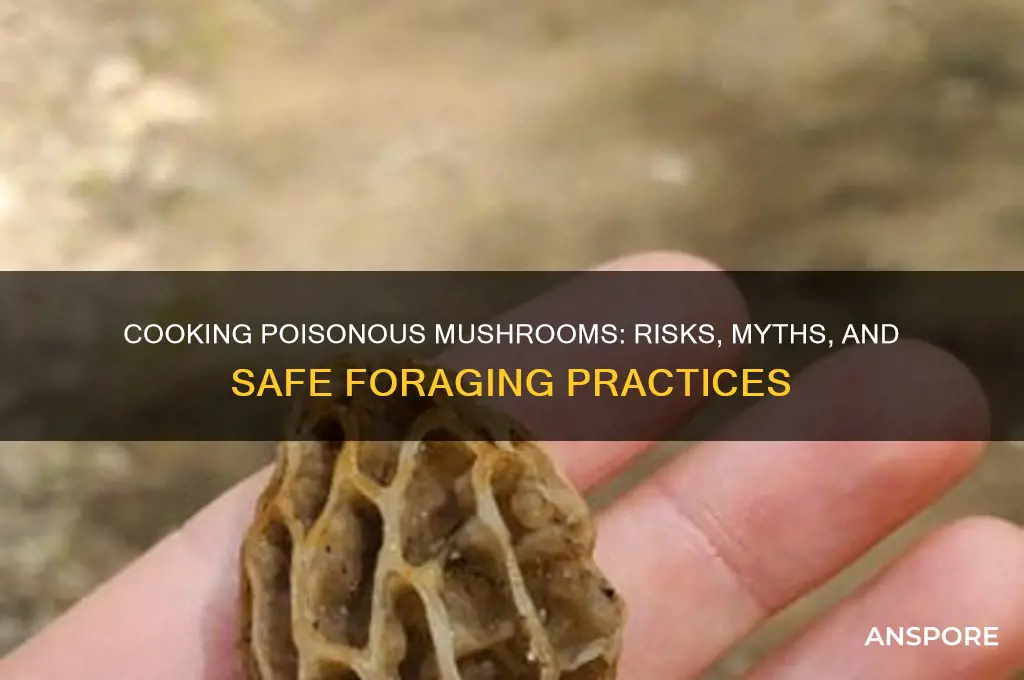 can you cook poisonous mushrooms