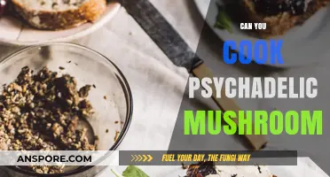 Exploring the Risks of Cooking Psychedelic Mushrooms: Legal and Safety Concerns