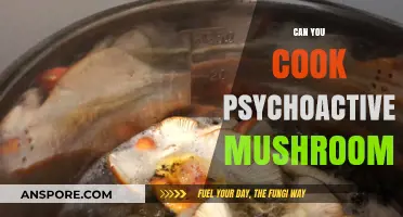 Exploring the Risks of Cooking with Psychoactive Mushrooms: What You Need to Know