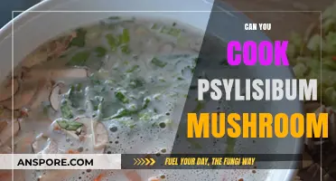 Cooking Psilocybe Mushrooms: Risks, Legality, and Safety Concerns Explained
