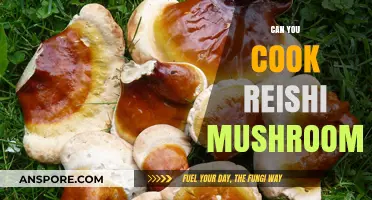 Cooking Reishi Mushrooms: Tips, Benefits, and Delicious Recipes to Try