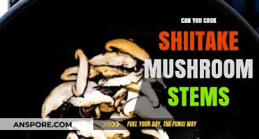 Cooking Shiitake Stems: Delicious Ways to Use Every Part