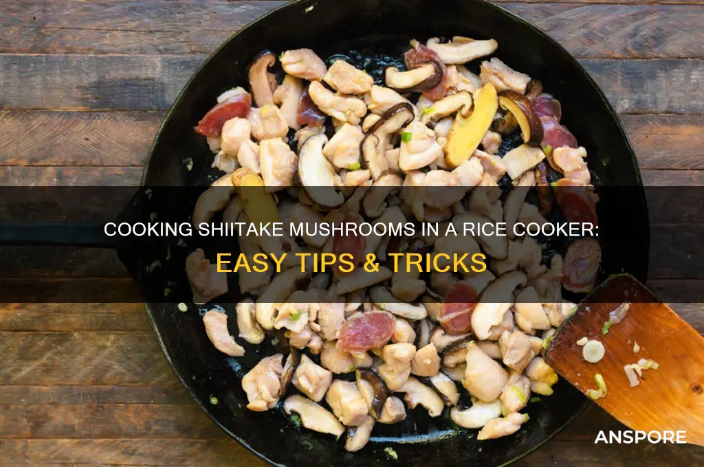 can you cook shiitake mushrooms in a rice cooker