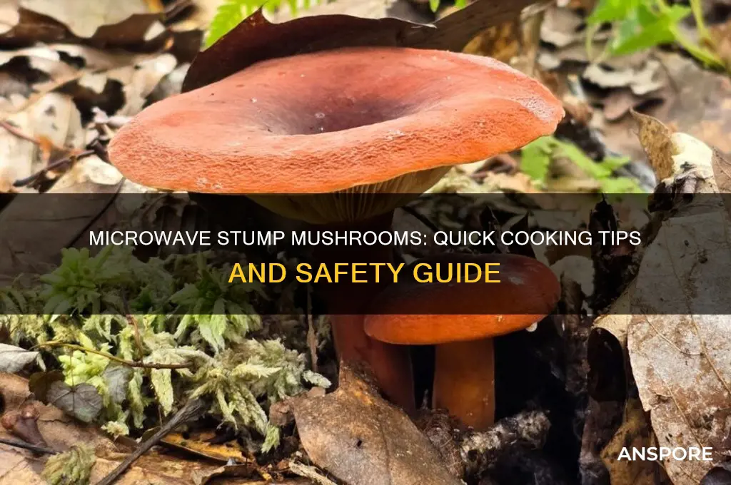 can you cook stump mushrooms in microwave