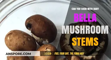 Cooking with Baby Bella Mushroom Stems: Tips and Recipes