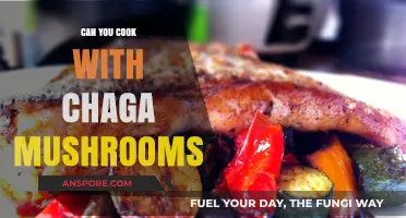 Cooking with Chaga: Unlocking the Culinary Potential of This Superfood Mushroom