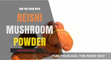 Cooking with Reishi Mushroom Powder: Benefits, Recipes, and Tips