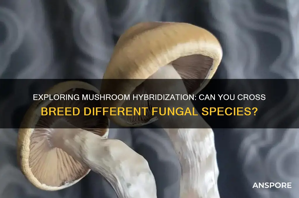can you cross breed mushrooms