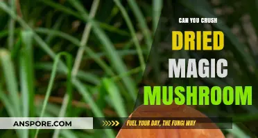 Crushing Dried Magic Mushrooms: Risks, Effects, and Safe Consumption Tips