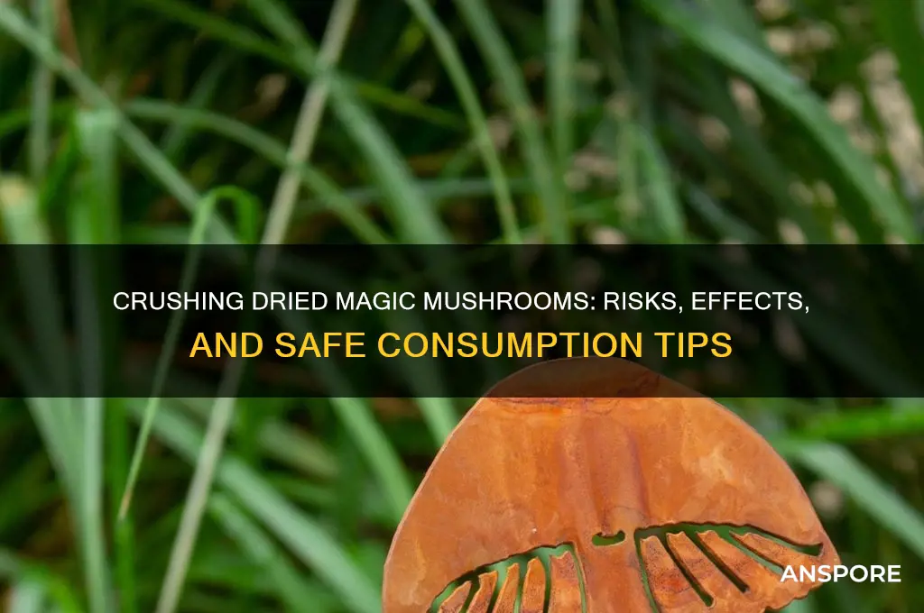 can you crush dried magic mushrooms