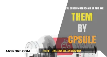 Crushing Mushrooms for Capsules: Safe, Effective, or Risky Method?