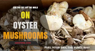 Can You Safely Trim Mold from Oyster Mushrooms? Expert Tips