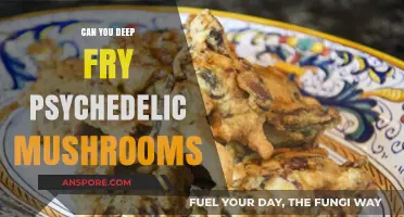 Deep Frying Psychedelic Mushrooms: Risks, Legality, and Safety Concerns