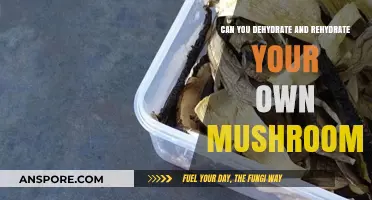 Dehydrating and Rehydrating Mushrooms: A DIY Preservation Guide
