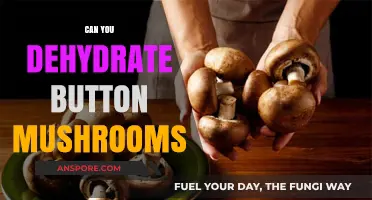 Dehydrating Button Mushrooms: A Simple Guide to Preserving Flavor