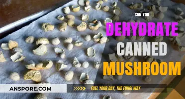 Dehydrating Canned Mushrooms: A Simple Guide to Preserving Flavor