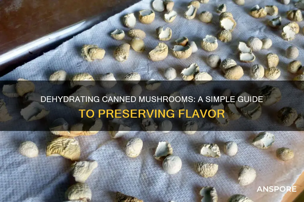 can you dehydrate canned mushrooms