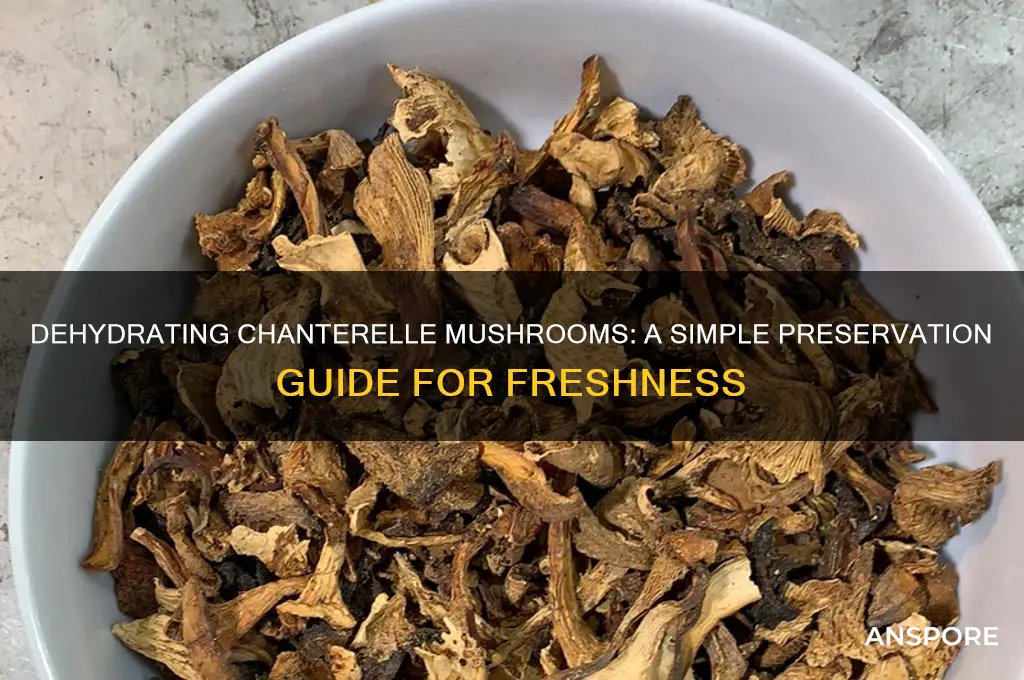 can you dehydrate chanterelle mushrooms