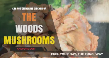 Dehydrating Chicken of the Woods Mushrooms: A Complete Guide