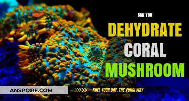 Dehydrating Coral Mushrooms: A Guide to Preserving Their Flavor and Texture