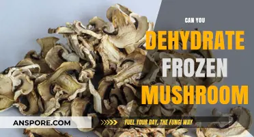 Dehydrating Frozen Mushrooms: A Complete Guide to Preserving Flavor