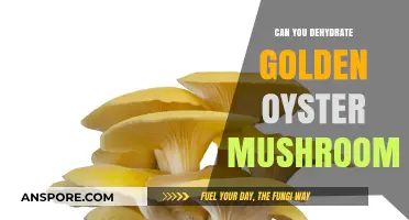 Dehydrating Golden Oyster Mushrooms: A Simple Preservation Guide