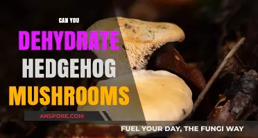 Dehydrating Hedgehog Mushrooms: A Guide to Preserving Their Unique Flavor