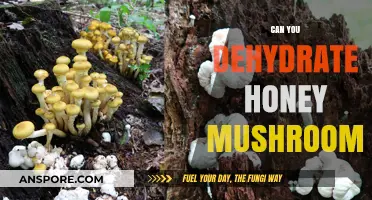 Dehydrating Honey Mushrooms: A Guide to Preserving Their Flavor