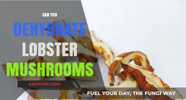 Dehydrating Lobster Mushrooms: A Complete Guide to Preservation and Flavor