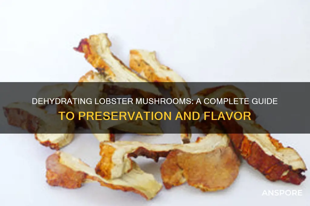 can you dehydrate lobster mushrooms