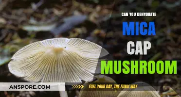 Dehydrating Mica Cap Mushrooms: Tips, Benefits, and Storage Guide